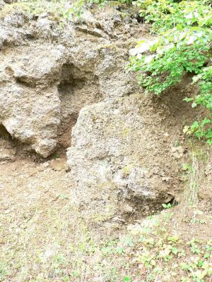 Una platja que es va formar abans de l'elevació del Pirineu (Foto)