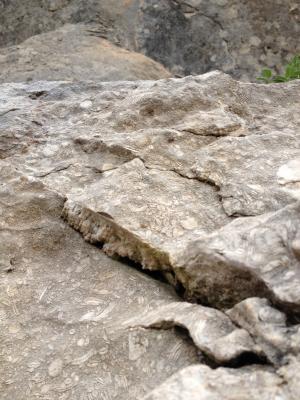 Roca del lloc d'escalada de Beuda