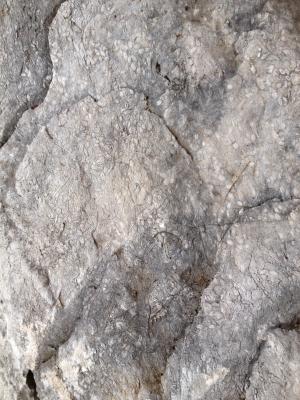 Roca del lloc d'escalada de Beuda